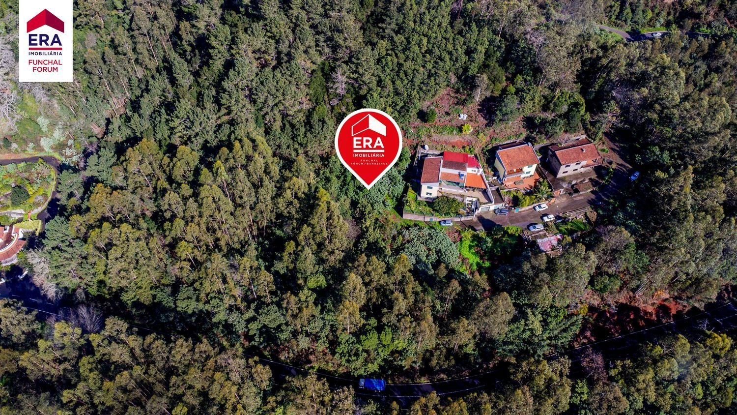 Terreno em Camacha, Portugal N.º 220817