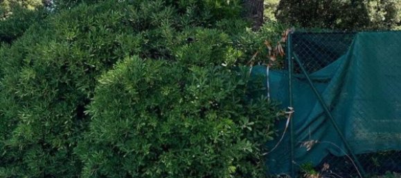 7 rooms Villa in Ancona, Italy No. 308170 2