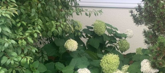 Дом с 4 комнатами в Восточный Альб, Германия № 220463 31