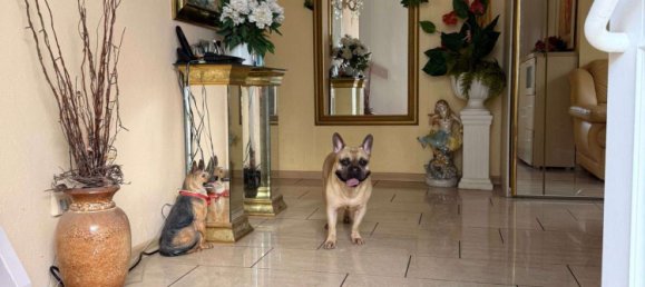 Дом с 4 комнатами в Восточный Альб, Германия № 220463 9