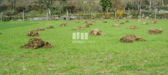 Grundstück in Baiao, Portugal 4690m², Nr. 46407 4