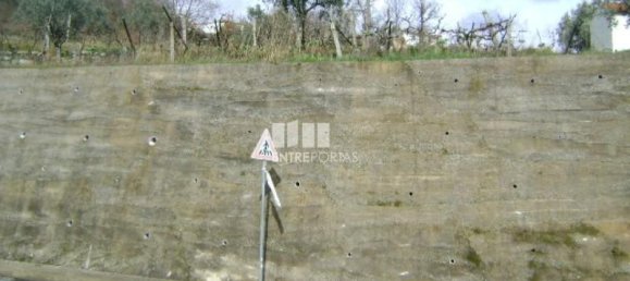 Grundstück in Baiao, Portugal 4690m², Nr. 46407 2