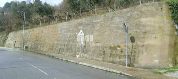 Grundstück in Baiao, Portugal 4690m², Nr. 46407 3