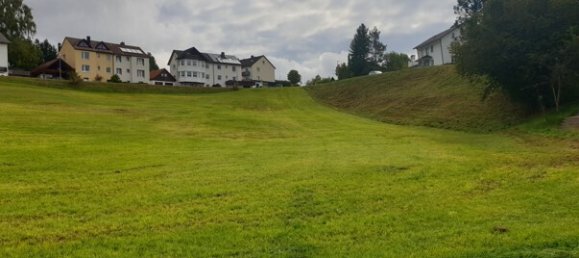 Grundstück in Schwarzwald-Baar-Kreis, Germany 7410m², Nr. 111342 6