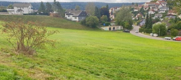 Grundstück in Schwarzwald-Baar-Kreis, Germany 7410m², Nr. 111342 4