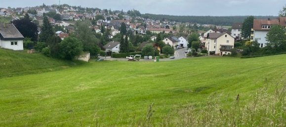 Grundstück in Schwarzwald-Baar-Kreis, Germany 7410m², Nr. 111342 3