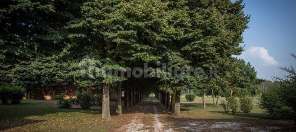 Casa de 58 dormitorios en Ozzero, Italy No. 61145 6