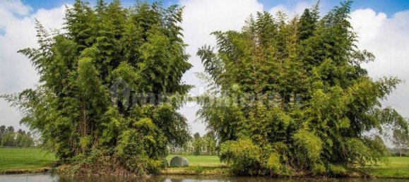 Casa de 58 dormitorios en Ozzero, Italy No. 61145 18