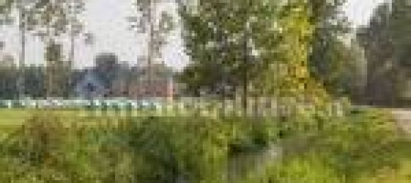 Casa de 58 dormitorios en Ozzero, Italy No. 61145 23