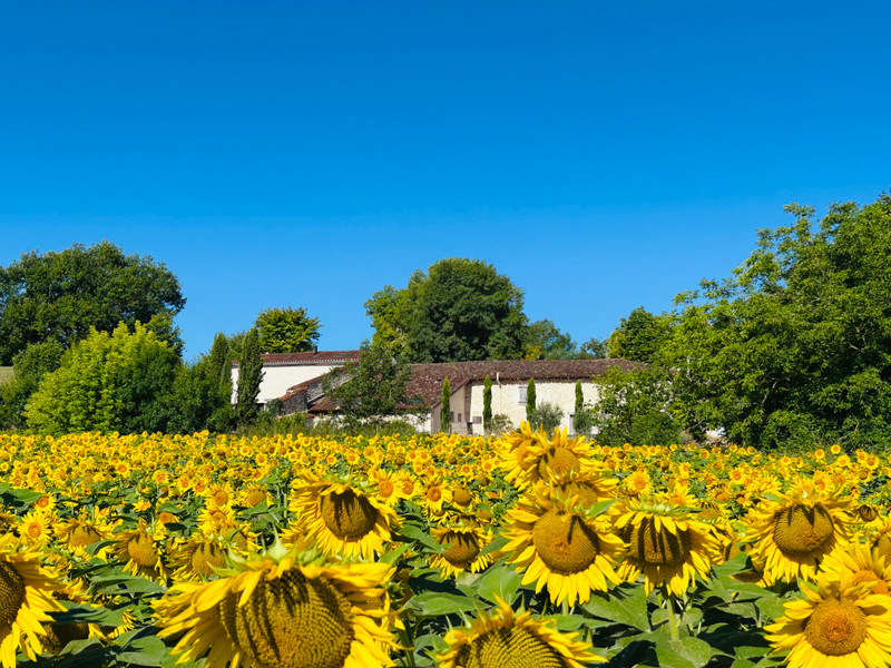 3 غرف نوم منزل في Dordogne, France رقم 325646