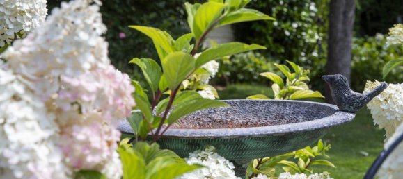 Casa de 5 divisões em Korneuburg, Austria N.º 244195 2