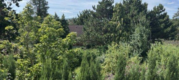 Таунхаус с 5 комнатами в Пенцинг, Австрия № 240596 16