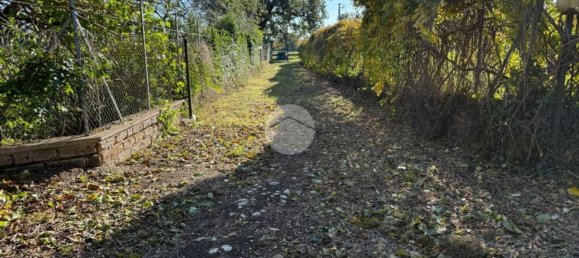 6 rooms House in Otricoli, Italy No. 101873 28