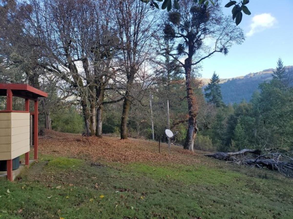 3 bedrooms House in Garberville, USA No. 414789