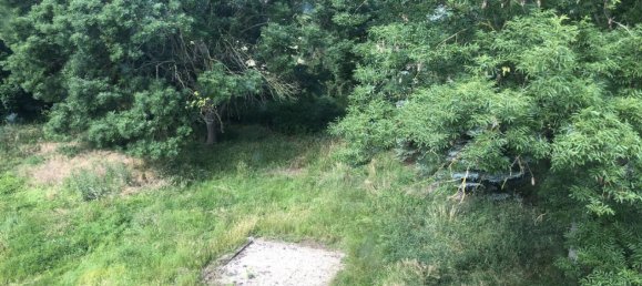 Casa de 12 habitaciónes en Saalekreis, Germany No. 289199 7