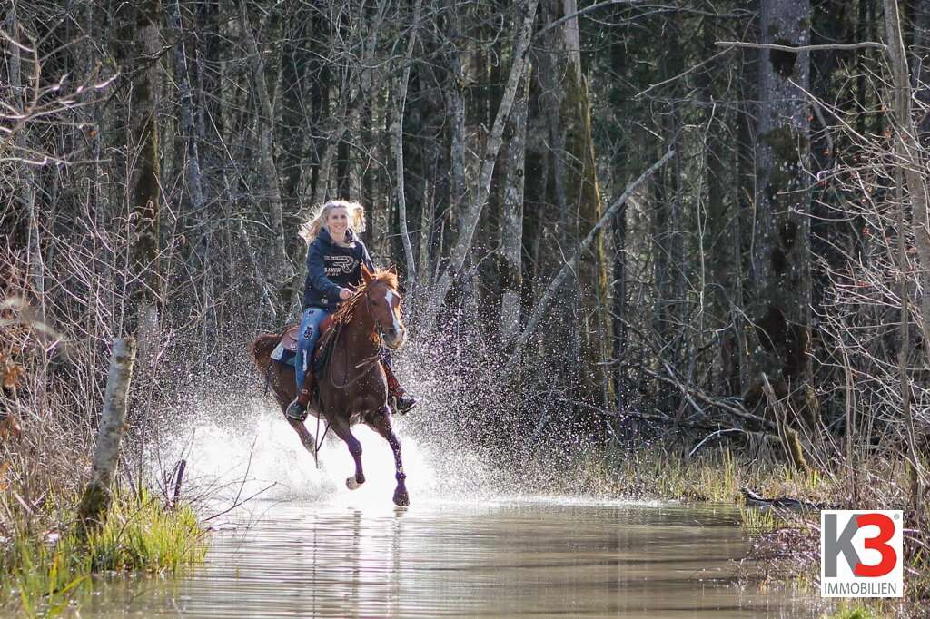 Propriété commerciale à Auerbach, Austria 6740m² No. 115698