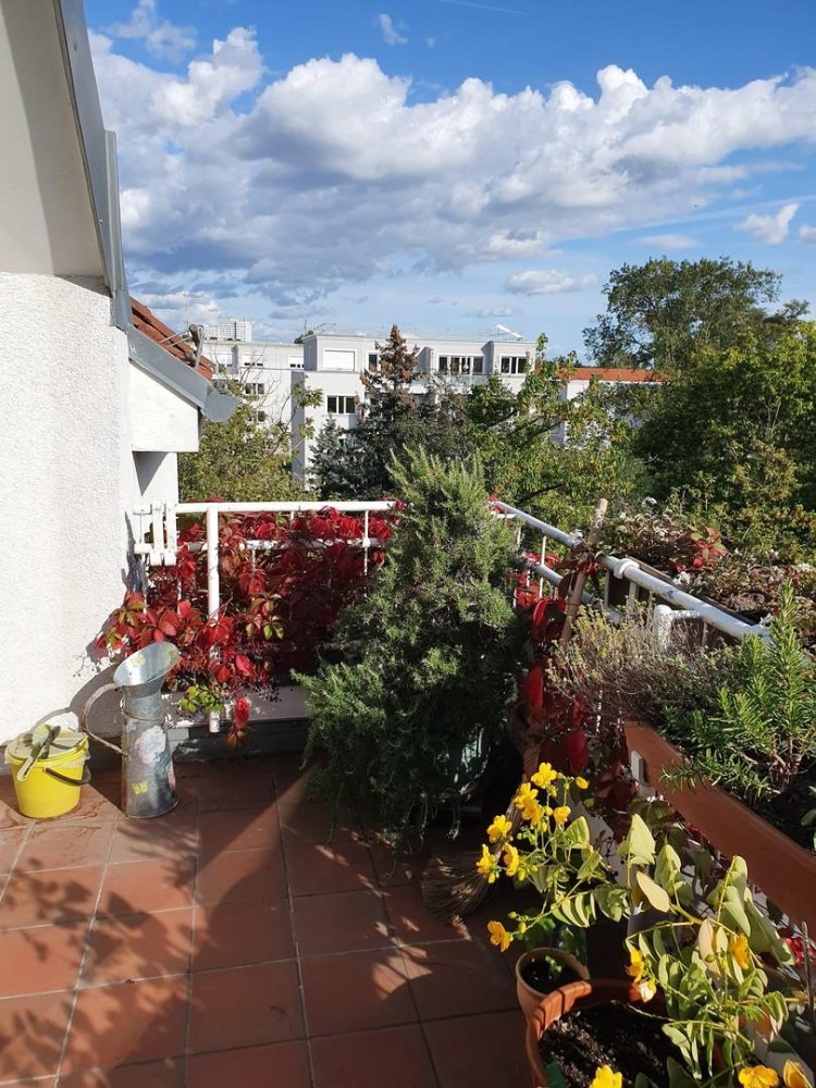 2 bedrooms Apartment in Lichterfelde, Germany No. 13706