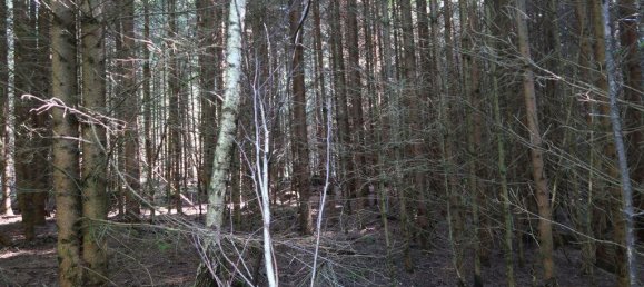 Terreno em Erding, Germany 19325 m² N.º 314621 3