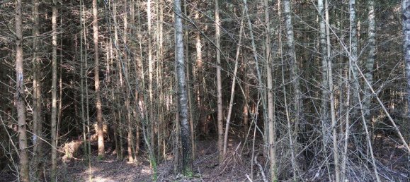 Terreno em Erding, Germany 19325 m² N.º 314621 2