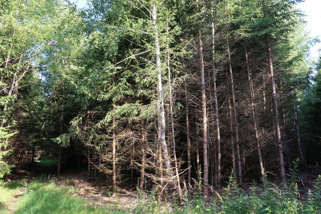 Terreno em Erding, Germany 19325 m² N.º 314621