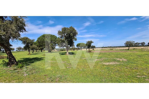 4 bedrooms House in Benavente, Portugal No. 284510