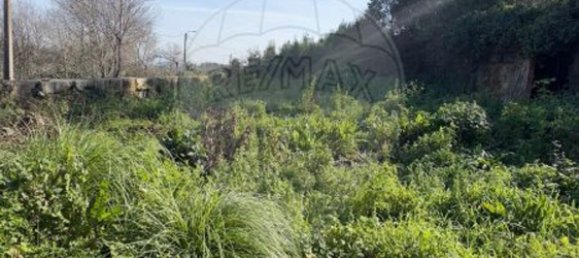 7 Schlafzimmer Haus in Vila Nova de Gaia, Portugal, Nr. 18352 5