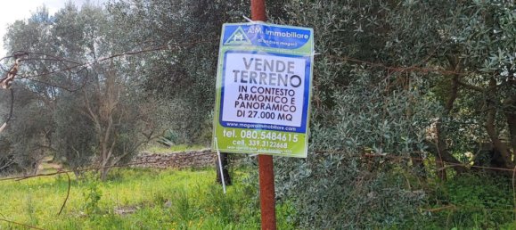 Земельный участок 27000м² в Модуньо, Италия № 174847 15