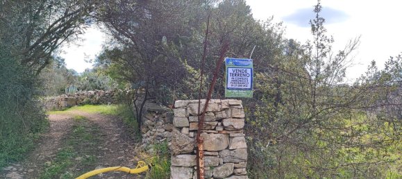 Земельный участок 27000м² в Модуньо, Италия № 174847 16