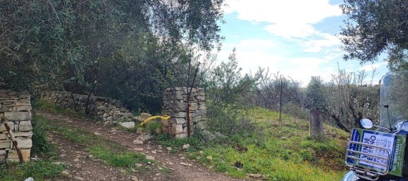 Земельный участок 27000м² в Модуньо, Италия № 174847 2