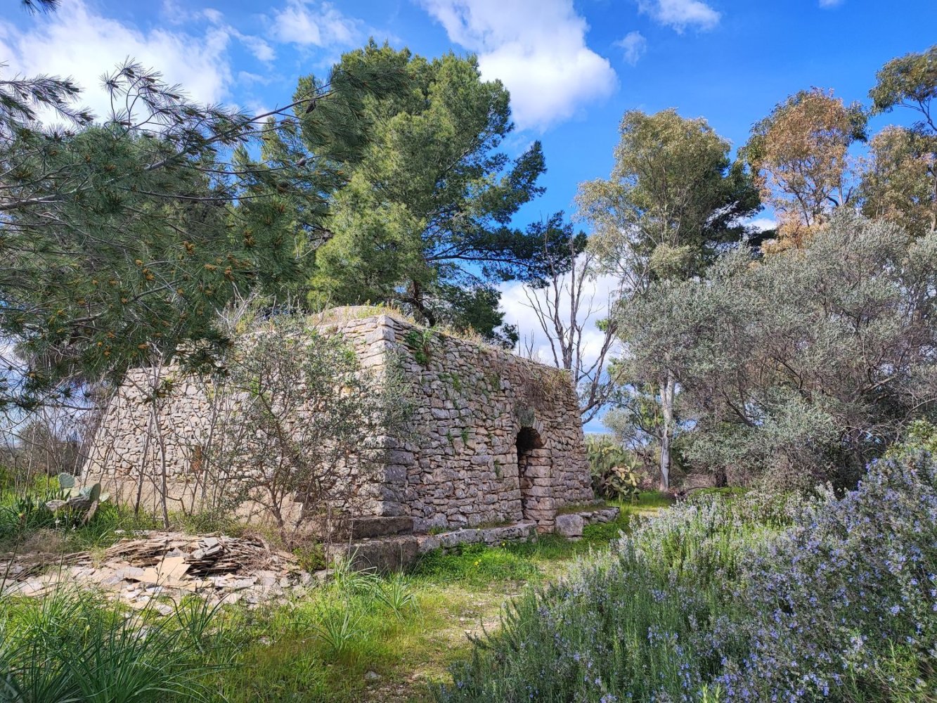 Земельный участок 27000м² в Модуньо, Италия № 174847