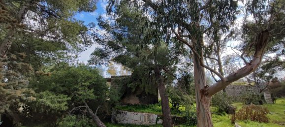 Земельный участок 27000м² в Модуньо, Италия № 174847 10