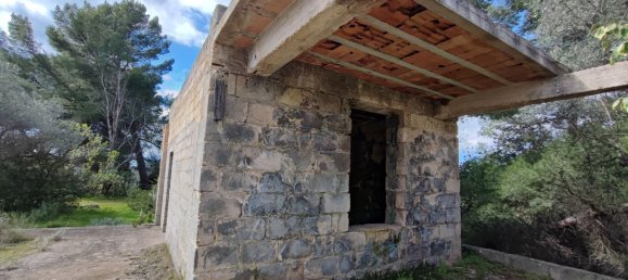 Земельный участок 27000м² в Модуньо, Италия № 174847 12