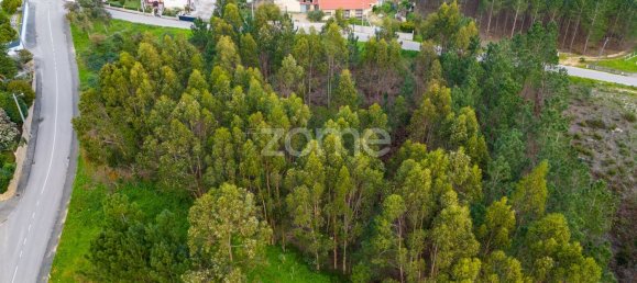Terreno en Leiria, Portugal 2105 m² No. 90355 11