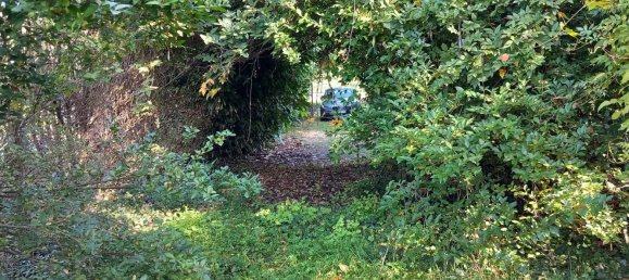 Вилла с 10 комнатами в Алье, Италия № 87879 18