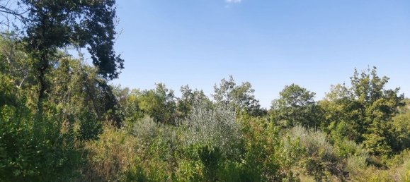 48000m² Hotel in Corfu, Greece No. 3466 4