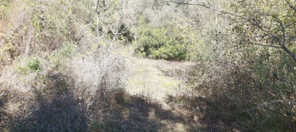 48000m² Hotel in Corfu, Greece No. 3466 9