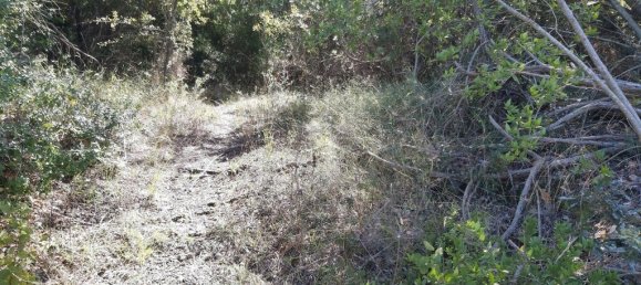 48000m² Hotel in Corfu, Greece No. 3466 5