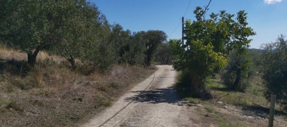 48000m² Hotel in Corfu, Greece No. 3466 11