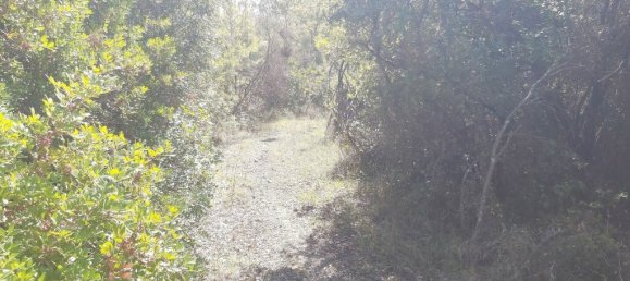 48000m² Hotel in Corfu, Greece No. 3466 10