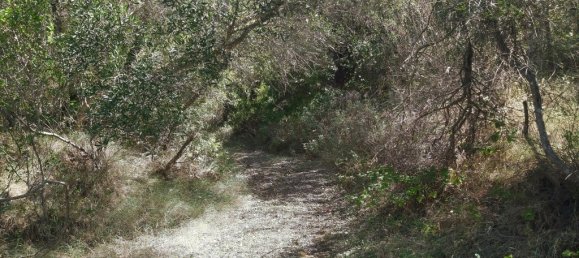 48000m² Hotel in Corfu, Greece No. 3466 8