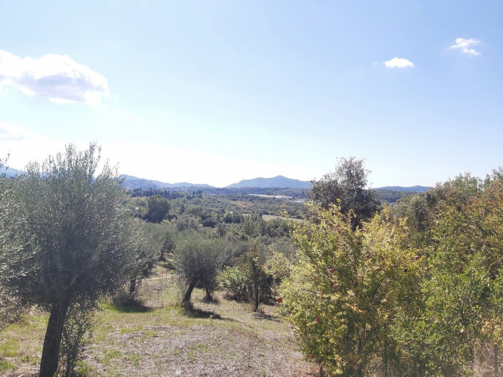 48000m² Hotel in Corfu, Greece No. 3466