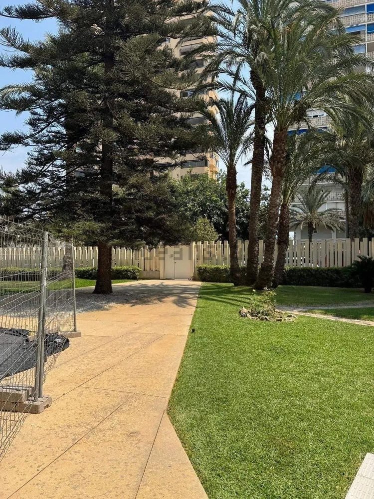 2 chambres Appartement à Alicante, Spain No. 214889