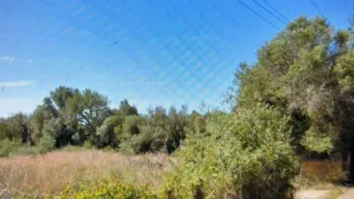 Terreno en Llucmajor, Spain 4200 m² No. 241577