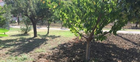 8 rooms House in Carunchio, Italy No. 236733 6