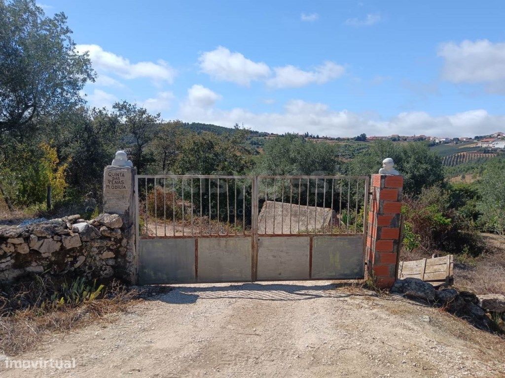 Terrain à Evora de Alcobaca, Portugal 4650m² No. 302724