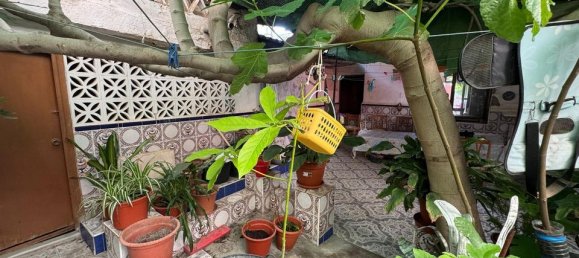 3 chambres Villa à Benejuzar, Spain No. 178462 18