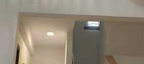 Imóvel comercial T3 em Mazotos, Cyprus N.º 17985 4