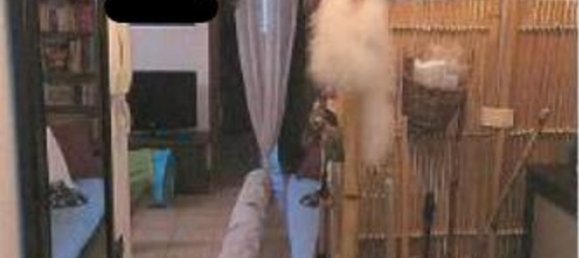 2غرفة شقة في Castano Primo, Italy رقم 1687 6