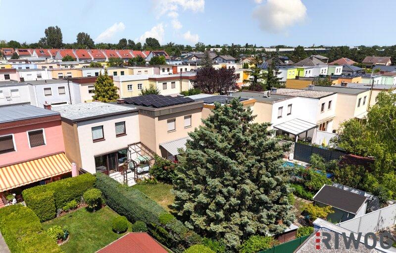 4 rooms Townhouse in Wiener Neudorf, Austria No. 162225
