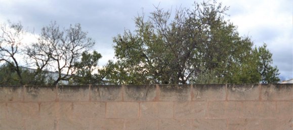 Grundstück in Muro, Spain 771m², Nr. 92196 4